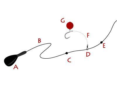 monturi crap - montura-de-crap-chod-rig.jpg